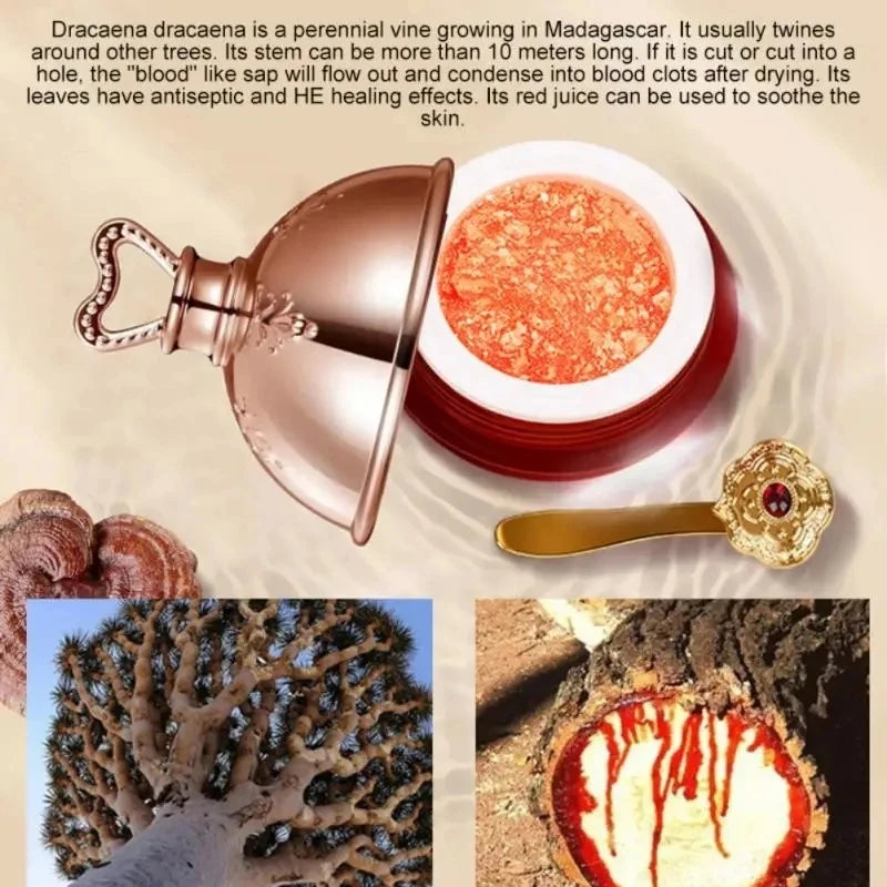 Creme Facial com Sangue de Dragão, Retinol e Placenta – Iluminação, Lifting e Firmeza da Pele